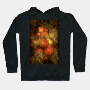 Somerset Apples Hoodie